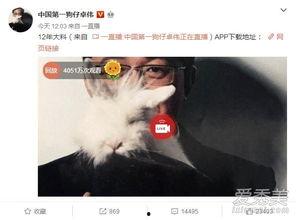 苏州情感爆料事件视频完整版 第1张 苏州情感爆料事件视频完整版 第1张
