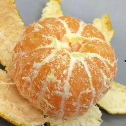 橘子最新爆料视频,娱乐圈幕后真相大曝光! 第1张 橘子最新爆料视频,娱乐圈幕后真相大曝光! 第1张